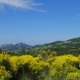 Ausblick in der Provence
