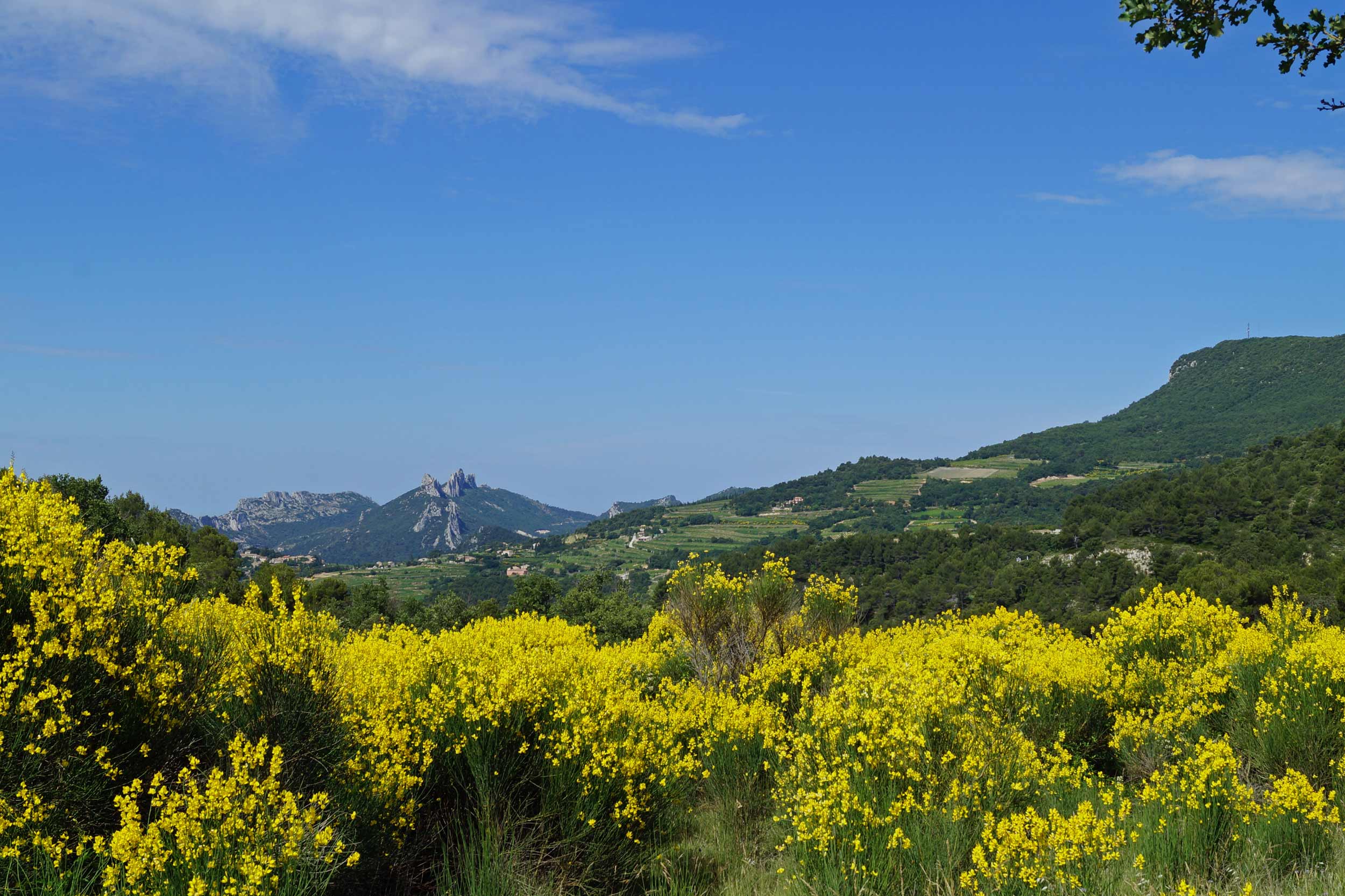 Ausblick in der Provence